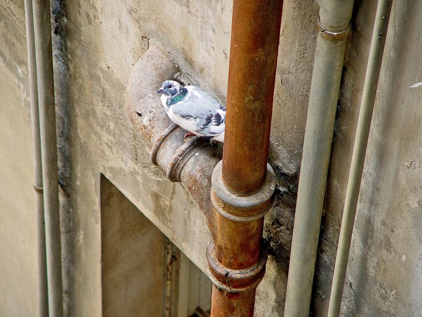 Réparation fuite d'eau Châteauroux
